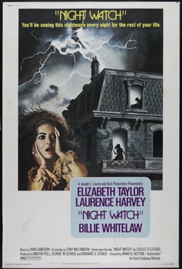 Постер фильма Ночной дозор (1973)