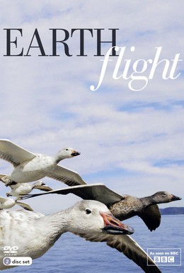 Постер фильма BBC: Мир с высоты птичьего полета (2011)