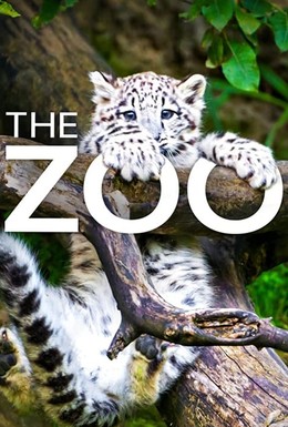Постер фильма The Zoo (2017)