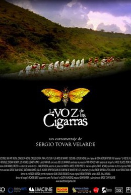 Постер фильма Голос цикад (2005)