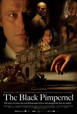Постер фильма Черная гвоздика (2007)