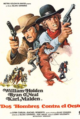 Постер фильма Дикие бродяги (1971)