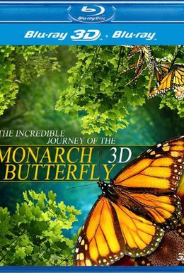 Постер фильма Полет бабочки 3D (2012)