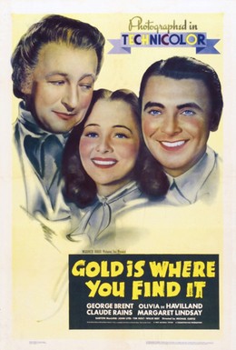 Постер фильма Золото там, где ищешь (1938)