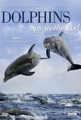 Постер фильма Дельфины скрытой камерой (2014)