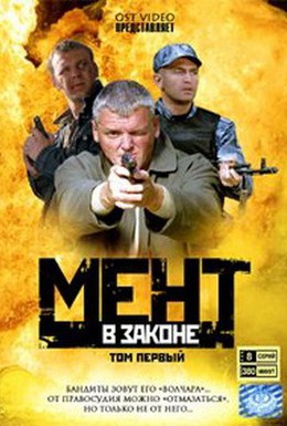 Постер фильма Мент в законе (2008)