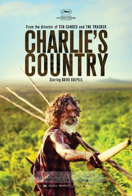 Постер фильма Страна Чарли (2013)