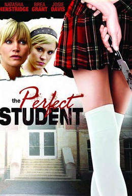 Постер фильма Идеальный студент (2011)
