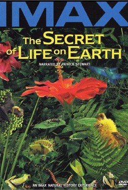Постер фильма Тайна жизни на Земле (1993)