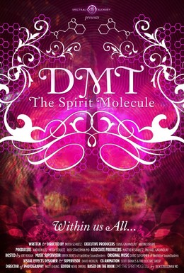 Постер фильма ДМТ: Молекула духа (2010)