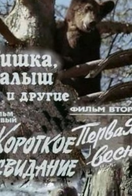 Постер фильма Мишка, Малыш и другие (1981)