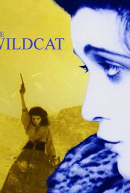 Постер фильма Горная кошка (1921)