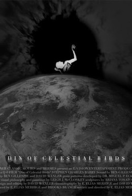 Постер фильма Шум небесных птиц (2006)
