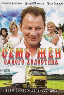 Постер фильма Семь жен одного холостяка (2009)