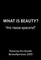 BBC: Что такое красота? (2009)