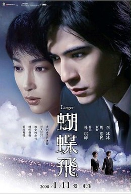 Постер фильма Задержавшийся (2008)