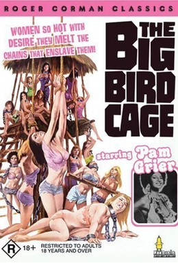 Постер фильма Большая клетка для птиц (1972)