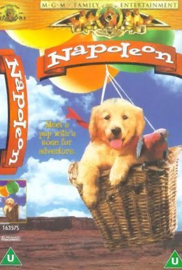 Постер фильма Наполеон (1994)