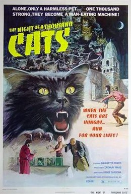 Постер фильма Ночь 1000 котов (1972)