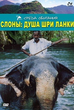 Постер фильма Слоны: Душа Шри-Ланки (2000)