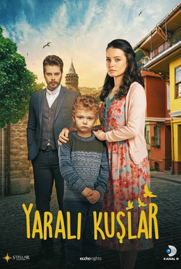 Постер фильма Раненые птицы (2019)