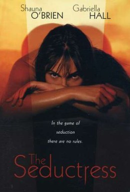 Постер фильма Соблазнительница (2000)