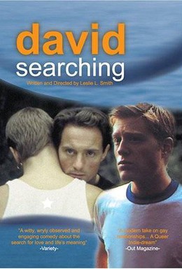 Постер фильма Дэвид в поиске (1997)
