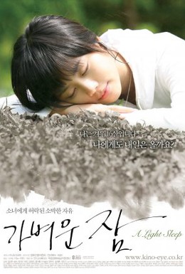 Постер фильма Лёгкий сон (2008)