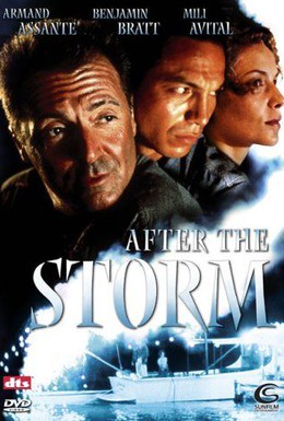 Постер фильма После шторма (2001)