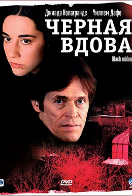 Постер фильма Черная вдова (2005)