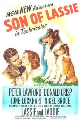 Постер фильма Сын Лесси (1945)