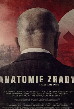 Постер фильма Anatomie zrady (2020)