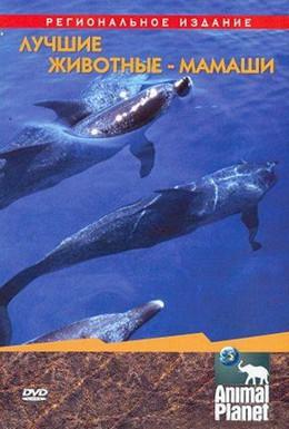 Постер фильма Animal Planet. Лучшие животные-мамаши (2004)