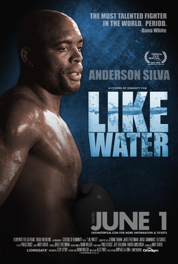 Постер фильма Как вода (2011)