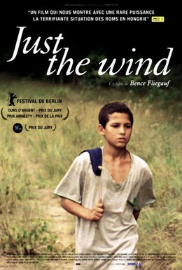 Постер фильма Просто ветер (2012)