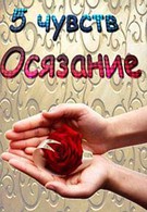 5 чувств (2013)