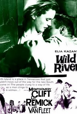 Постер фильма Дикая река (1960)