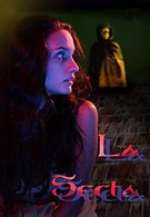 Секта (2014)