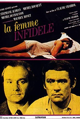 Постер фильма Неверная жена (1969)