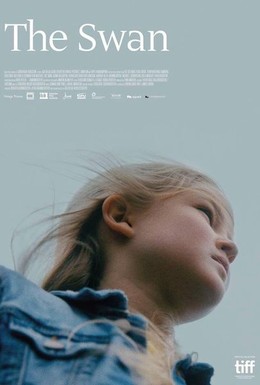 Постер фильма Svanurinn (2017)