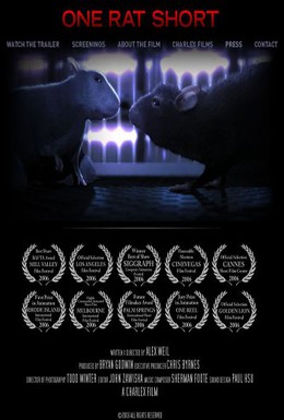 Постер фильма История одной крысы (2006)