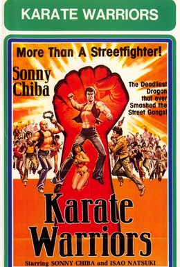 Постер фильма Воины карате (1976)