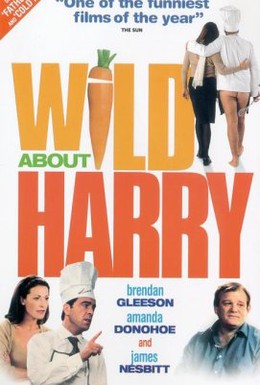 Постер фильма История о Гарри (2000)