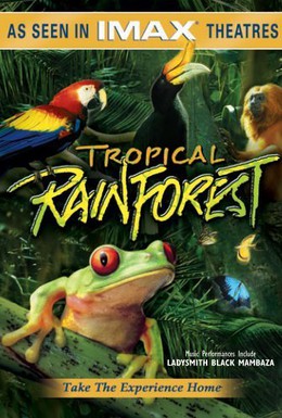 Постер фильма Тропический лес (1992)