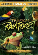 Тропический лес (1992)