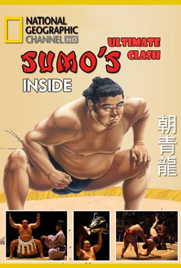 Постер фильма Взгляд изнутри: Сумо. Главный поединок (2007)
