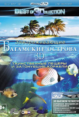 Постер фильма Багамские острова 3D: Таинственные пещеры и затонувшие корабли (2012)