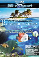 Багамские острова 3D: Таинственные пещеры и затонувшие корабли (2012)