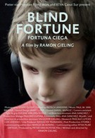 Слепая фортуна (2012)