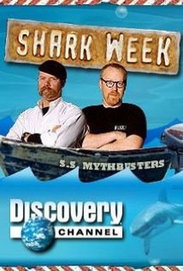 Постер фильма Discovery. Как выжить среди акул (2007)